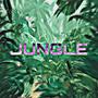 Jungle (Explicit)