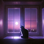 Moonlight Cat