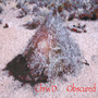 Obscured