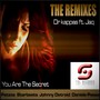 You Are The Secret (The Remixes)