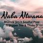 Naba Ntwana (feat. Soulful'Pree & Skyper Tee & Thato D)