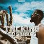 Talking to snakes (Explicit)