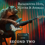 Background Hits, Nature & Animals - Second Two