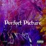 PERFECT PICTURE (Explicit)