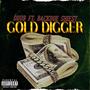 GOLD DIGGER (Explicit)