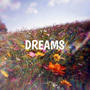 bxl dreams
