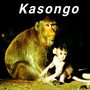 Kasongo