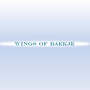 Wings Of Baekje