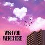 Wish You Were Here (Explicit)