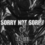 SORRY NOT SORRY (Explicit)