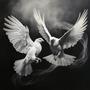 White Doves