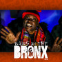 Bars in the Bronx 22 (Explicit)