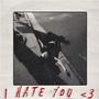 I Hate You <3