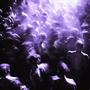 WATCH MY STEP (Explicit)
