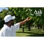 Ask