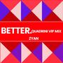 Better (VIP Mix)