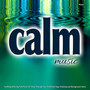 Calm Music Piano: Soothing, Relaxing, Soft Background Music for Sleep, Massage, Spa and More...