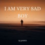 I am very sad boy