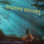 Chasing Echoes