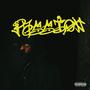 Passion (Explicit)