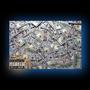 Whole Lotta (feat. Maleek) [Explicit]