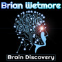 Brain Discovery