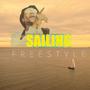 Sailin (Explicit)