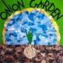 Onion Garden