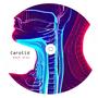 Carotid (Explicit)