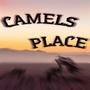 Camels place