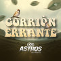 Gorrión Errante