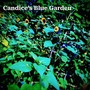 Candice's Blue Garden