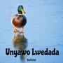 Unyawo Lwedada