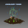 January Rain