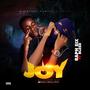 Joy (feat. Blesd)