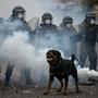 Riot