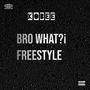 Bro what?¡ freestyle (Explicit)