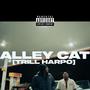 ALLEY CAT (Explicit)