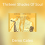 Thirteen Shades Of Soul