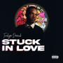 STUCK IN LOVE (Explicit)