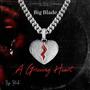 A Grieving Heart (Explicit)