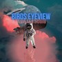 Birds Eyeview (Explicit)