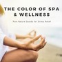 The Color of Spa & Wellness - Soothing Music, Pure Nature Sounds for Stress Relief, Background Music