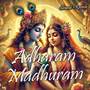Adharam Madhuram (Slow + Reverb)