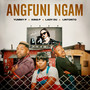 Angfuni Ngam