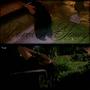 forever young (Explicit)