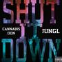 Shut It Down (Explicit)