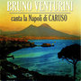 Bruno Venturini canta la Napoli di Caruso