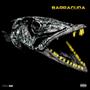 BARRACUDA (Explicit)