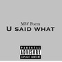 U Said What (Explicit)